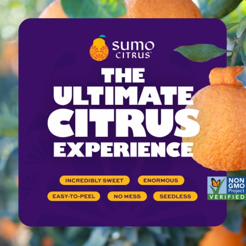 Sumo Citrus® Mandarin Bag Perspective: back