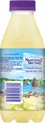 Nantucket Nectars® Squeezed Lemonade Perspective: back