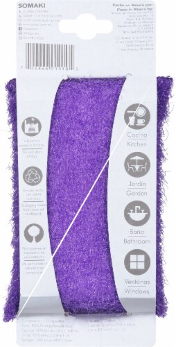 Fregon™ Scrubbing Sponge Perspective: back