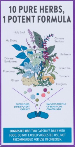 New Chapter Zyflamend Whole Body Dietary Supplement Perspective: back