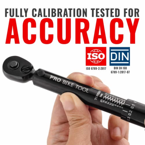 PRO BIKE TOOL Matte Silver 1/4 Drive Click Bike Torque Wrench Set 2 to 20 Nm, 18.11 H 12.6 L