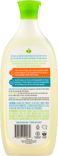 Ecover Lime Zest Dish Soap Perspective: back