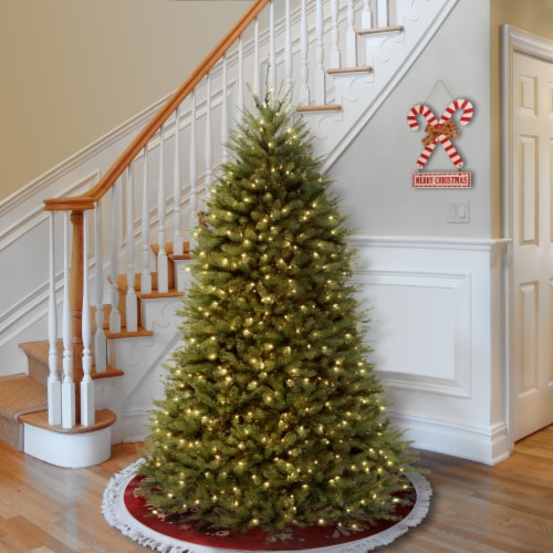 National Tree Company Dunhill Fir 6 Foot Christmas Tree with White Lights, Green, 1 Piece
