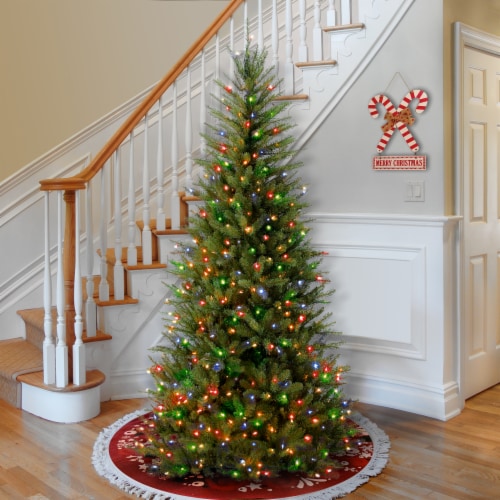 Dunhill fir christmas shop tree