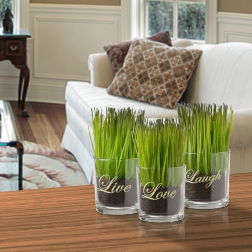 National Tree Company 3-Piece Sprout-Filled Glass Assortment Perspective: back