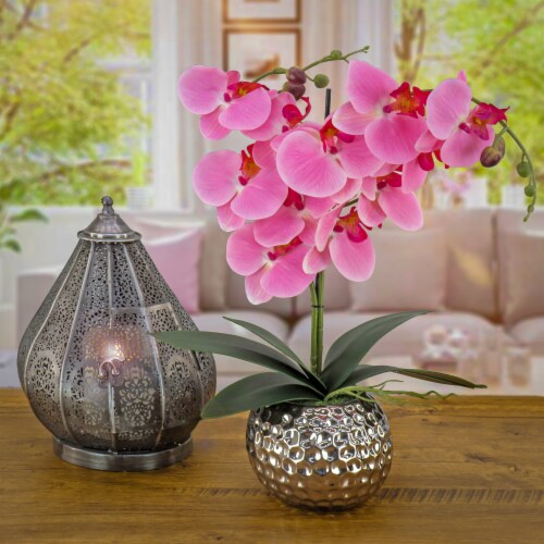 21 Potted Pink Orchid Flower Perspective: back