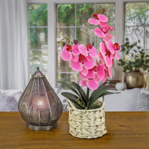 21 Pink Orchid Flower in White Basket Perspective: back
