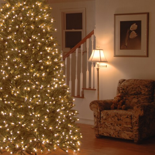 National tree company fraser fir cheap