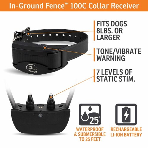 Sportdog contain and train add best sale a collar
