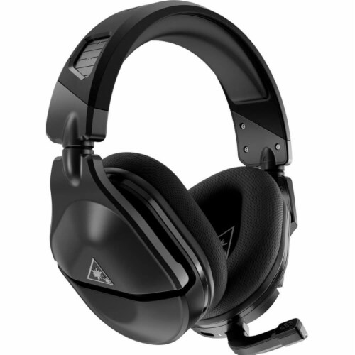 FG, Stealth 600 Gen2 MAX for PlayStation Perspective: back