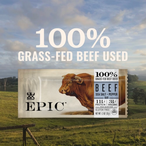 EPIC Keto and Paleo Friendly Beef Sea Salt Pepper Protein Bars Healthy Snacks Perspective: back