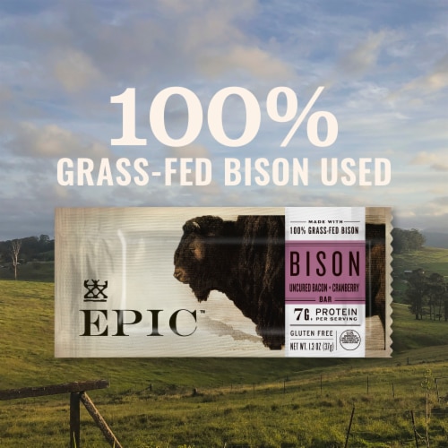 EPIC Paleo Friendly Bison Bacon Cranberry Protein Bars Healthy Snack Bars Perspective: back