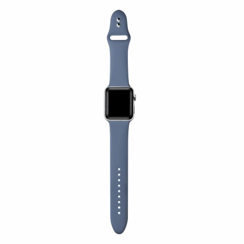Alaska blue 2025 apple watch band