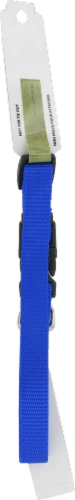 Alliance Blue Small Dog Collar Perspective: back