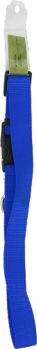 Alliance Blue Large Dog Collar Perspective: back