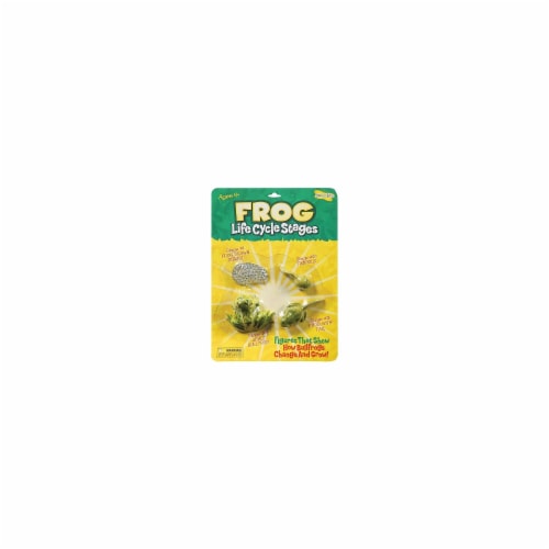 Insect Lore Life Cycle Stages-Frog Perspective: back