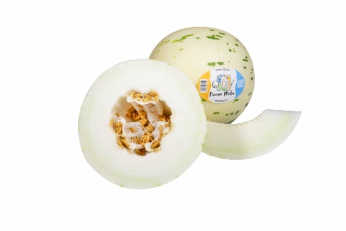 Majesty Picasso Melon Perspective: back