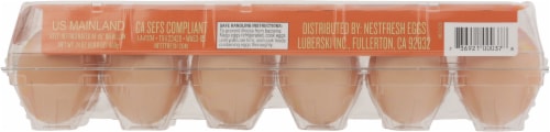 Nest Fresh™ Free Range Non-GMO Large Brown Eggs Perspective: back