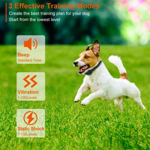 Best dog shock collar waterproof shop
