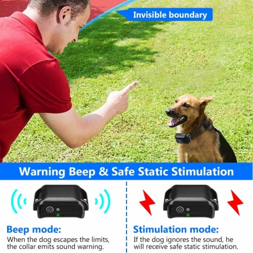 Dog radius shock collar shop
