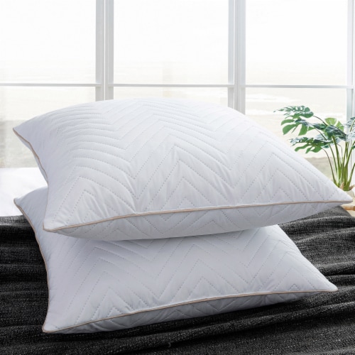 2 Pack Feather Down Throw Pillow Insert Blue 20x20 20x20 Fry s Food Stores