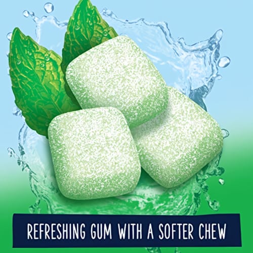 Wrigley's Extra Refreshers Spearmint Chewing Gum (Pack of 6) Perspective: back
