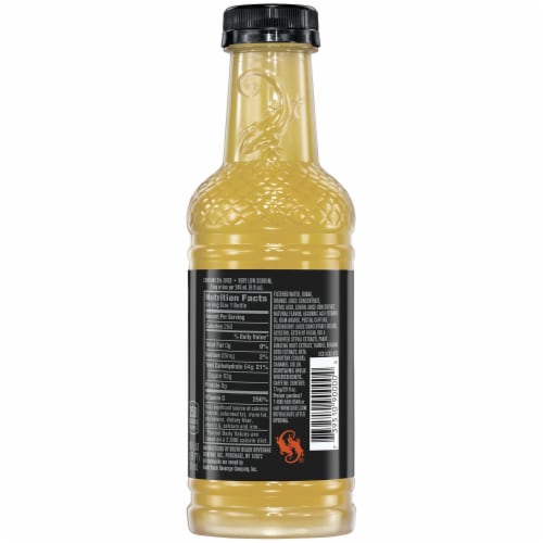 SoBe Elixir® Citrus Energy Flavored Beverage Perspective: back
