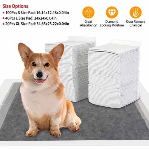 100Pcs Dog Pee Training Pads Super Absorbent Leak proof Quick Dry Pet 1 unit Foods Co