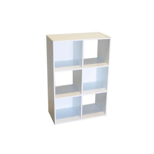 6-Cell Storage Cabinet Perspective: back