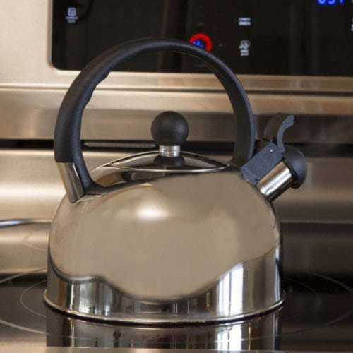 Primula Today Colin Stainless Steel 3-qt Whistling Kettle - Brushed Perspective: back