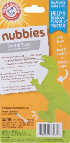Arm & Hammer Denta-Saurus T-Rex Mint Flavor Dog Toy Perspective: back