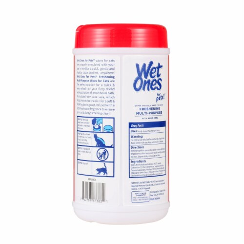 Wet Ones Fresh Scent Antibacterial Hand Wipes, 48 count