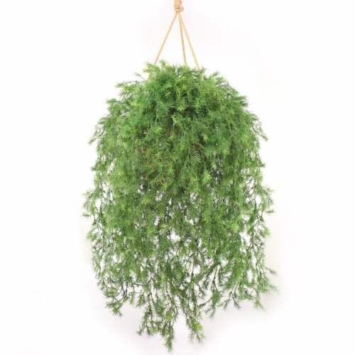 All Weather Artificial Springeri Plant Hanging with 9 Branches 31 Perspective: back
