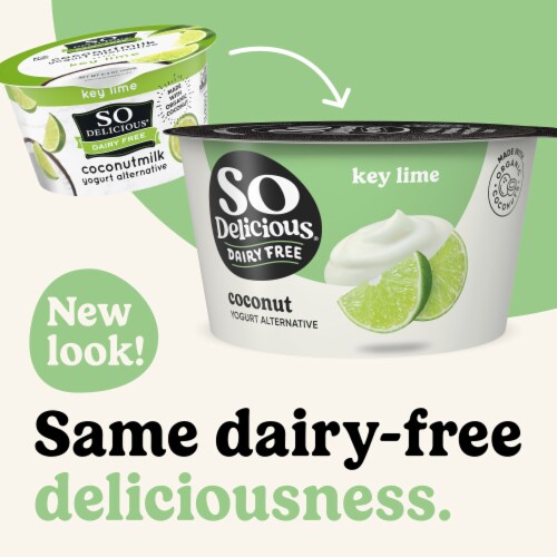 SO Delicious® Dairy-Free Coconut Milk Key Lime Yogurt Alternative Perspective: back