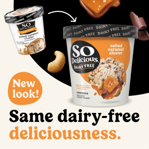So Delicious Dairy Free Salted Caramel Cluster Cashew Milk Frozen Dessert Carton Perspective: back