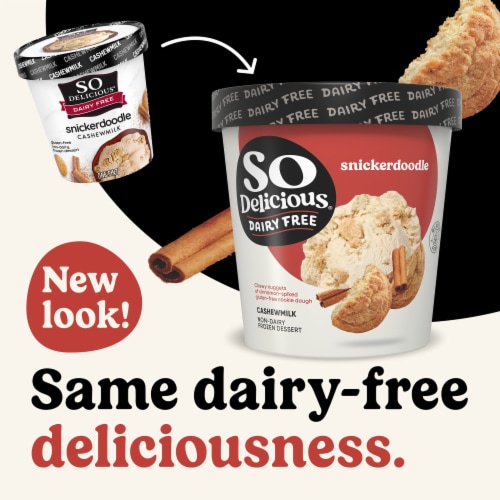 SO Delicious Snickerdoodle Cashewmilk Dairy Free Frozen Dessert Perspective: back