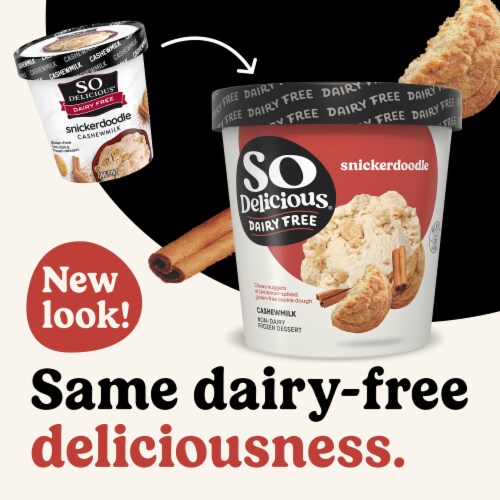 So Delicious Dairy Free Snickerdoodle Cashew Milk Frozen Dessert Carton Perspective: back