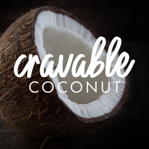 So Delicious Dairy Free No Sugar Added Chocolate Coconut Milk Frozen Dessert Carton Perspective: back
