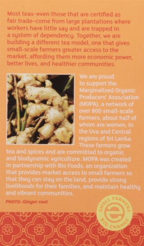 Equal Exchange Organic Ginger Tea Perspective: back
