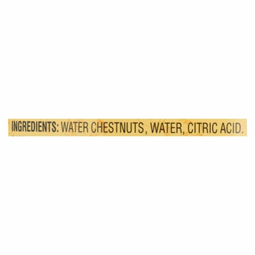 Reese Water Chestnuts - Diced - Case of 24 - 8 oz. Perspective: back