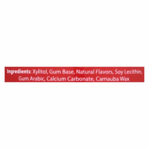 Epic Dental - Xylitol Gum - Cinnamon - 50 Count Perspective: back