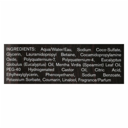 Every Man Jack Body Wash Eucalyptus Mint Body Wash - Case of 33.8 - 33.8 fl oz. Perspective: back