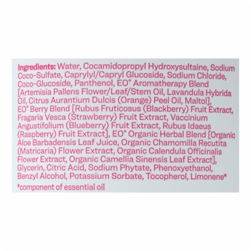 Everyone - Soap 3 In 1 Kids Berry Blast - 32 Oz. Perspective: back