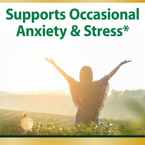 Anxiety stress relief ashwagandha ksm 66 tablets 90 tablets fred meyer
