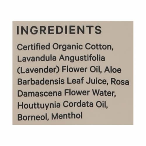 The Honey Pot - Pad Incontinence Day Herbal - 1 Each-16 CT Perspective: back