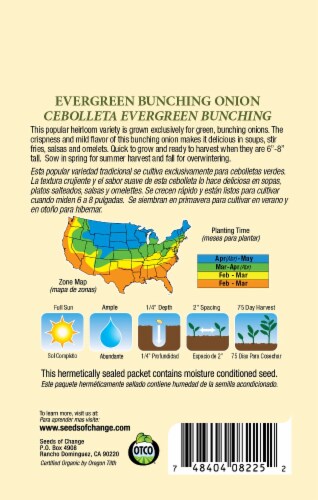 Seeds of Change Organic Evergreen Bunching Onion Seeds Perspective: back