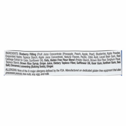 Betty Lou's Blueberry Fruit Bar - Case of 12 - 2 oz. Perspective: back