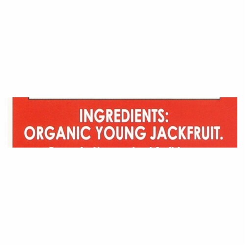 Unseasoned Pieces Organic Young Jackfruit Meatless Alternative  - Case of 6 - 7 oz. Perspective: back