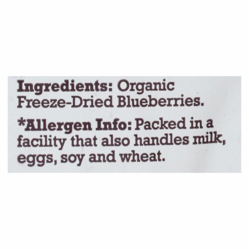 Natierra Fruit - Organic - Freeze Dried - Blueberries - 1.2 oz - case of 12 Perspective: back