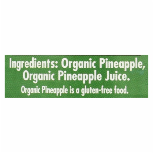 Native Forest Organic Chunks - Pineapple - Case of 6 - 14 oz. Perspective: back